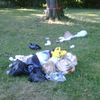 Prospect Park Fine With Litter, Not Dogs